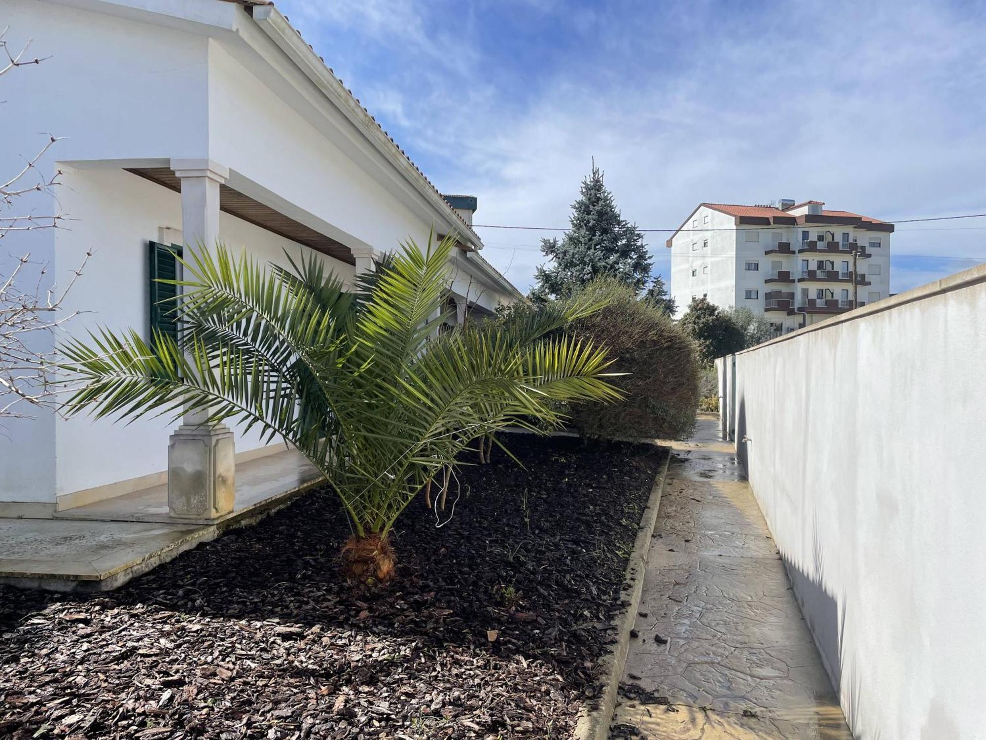 Casa Com Alma Konuk evi Fátima Dış mekan fotoğraf