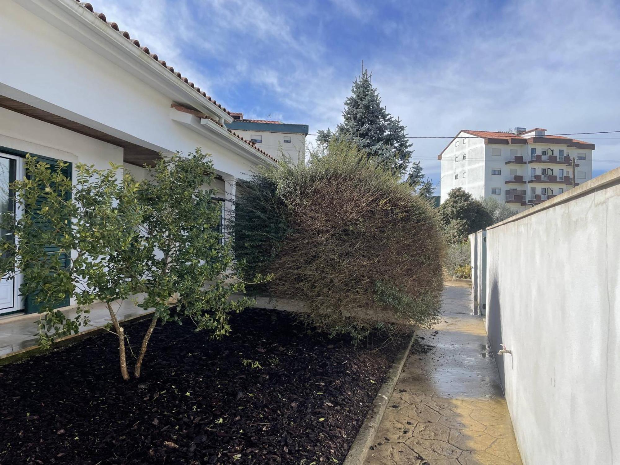 Casa Com Alma Konuk evi Fátima Dış mekan fotoğraf